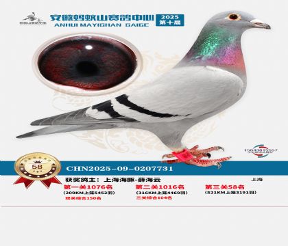 ����Λρɽ?j��ng)Qِ58��