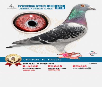 ����Λρɽ?j��ng)Qِ60��