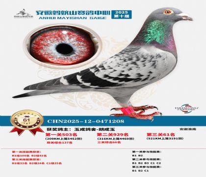 ����Λρɽ?j��ng)Qِ61��