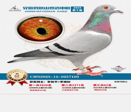 ����Λρɽ?j��ng)Qِ62��