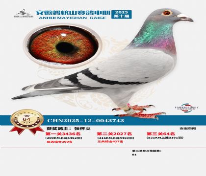 ����Λρɽ?j��ng)Qِ64��