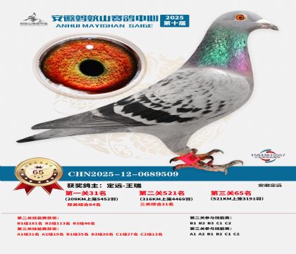 ����Λρɽ?j��ng)Qِ65��