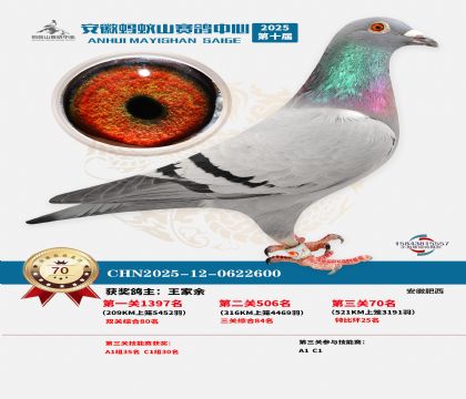 ����Λρɽ?j��ng)Qِ70��