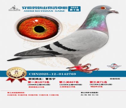 ����Λρɽ?j��ng)Qِ71��