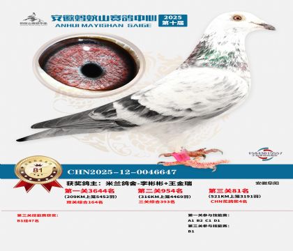 ����Λρɽ?j��ng)Qِ81��