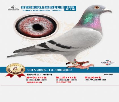 ����Λρɽ?j��ng)Qِ84��