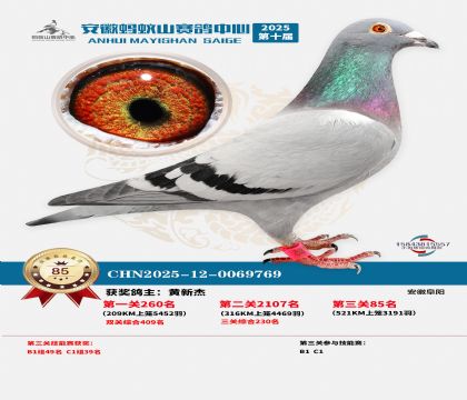 ����Λρɽ?j��ng)Qِ85��