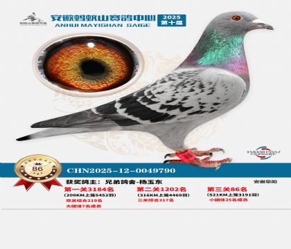 ����Λρɽ?j��ng)Qِ86��