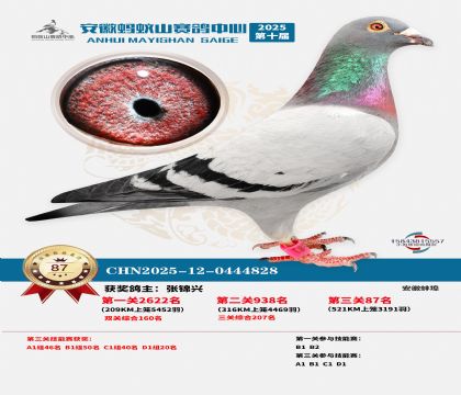 ����Λρɽ?j��ng)Qِ87��