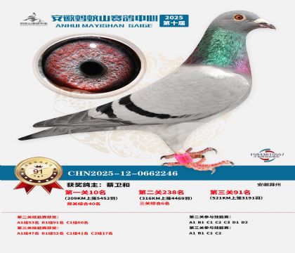 ����Λρɽ?j��ng)Qِ91��