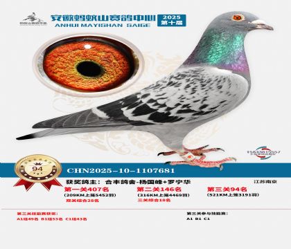 ����Λρɽ?j��ng)Qِ94��