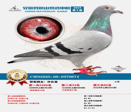 ����Λρɽ?j��ng)Qِ95��