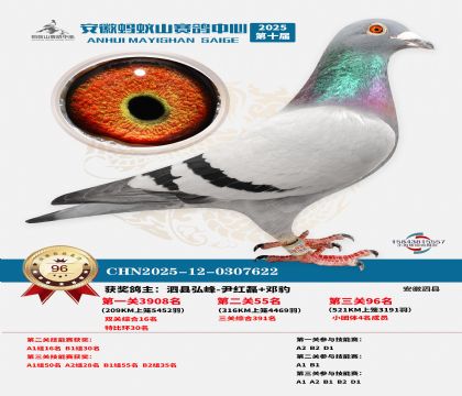 ����Λρɽ?j��ng)Qِ96��