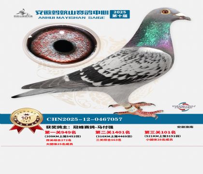 ����Λρɽ?j��ng)Qِ101��