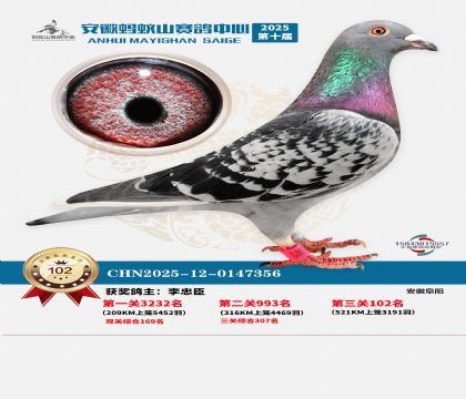 ����Λρɽ?j��ng)Qِ102��