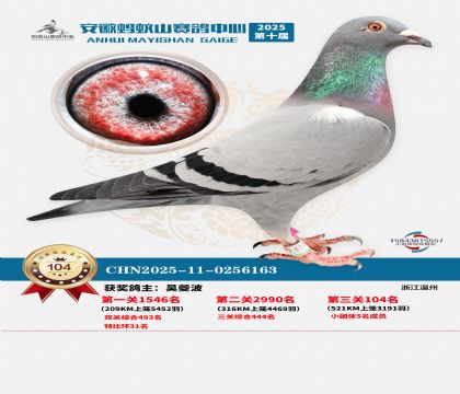 ����Λρɽ?j��ng)Qِ104��