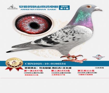 ����Λρɽ?j��ng)Qِ111��