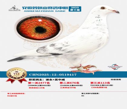 ����Λρɽ?j��ng)Qِ113��