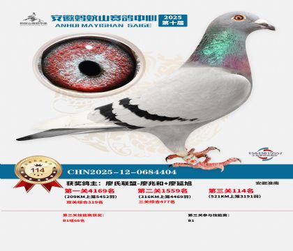 ����Λρɽ?j��ng)Qِ114��