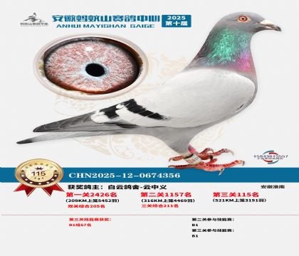 ����Λρɽ?j��ng)Qِ115��