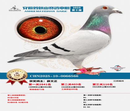 ����Λρɽ?j��ng)Qِ116��