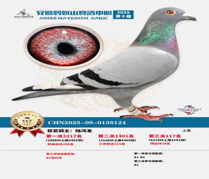 ����Λρɽ?j��ng)Qِ117��