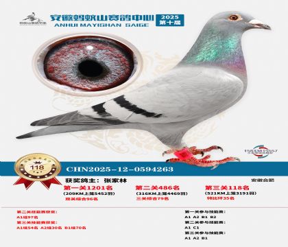 ����Λρɽ?j��ng)Qِ118��