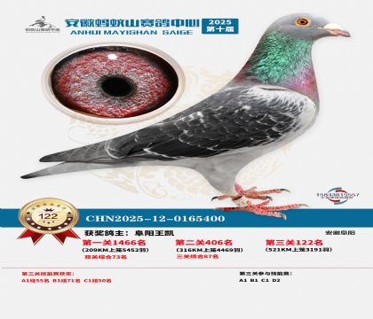 ����Λρɽ?j��ng)Qِ122��