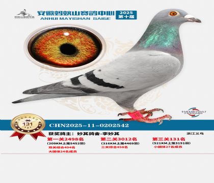 ����Λρɽ?j��ng)Qِ131��