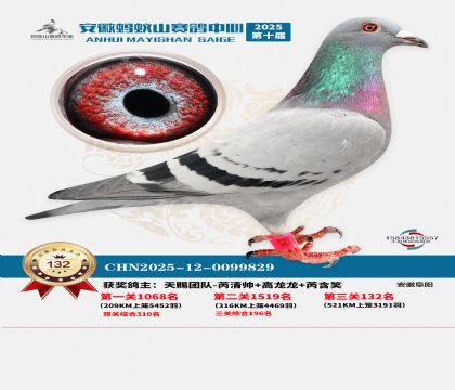 ����Λρɽ?j��ng)Qِ132��