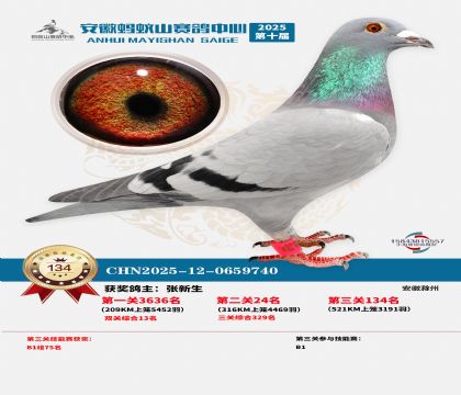 ����Λρɽ?j��ng)Qِ134��