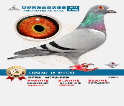 ����Λρɽ?j��ng)Qِ135��