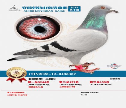 ����Λρɽ?j��ng)Qِ139��