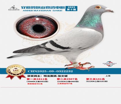 ����Λρɽ?j��ng)Qِ141��