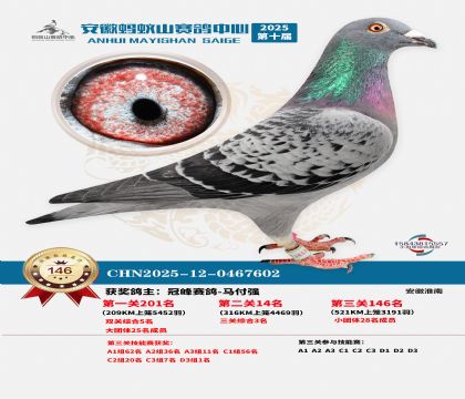 ����Λρɽ?j��ng)Qِ146��