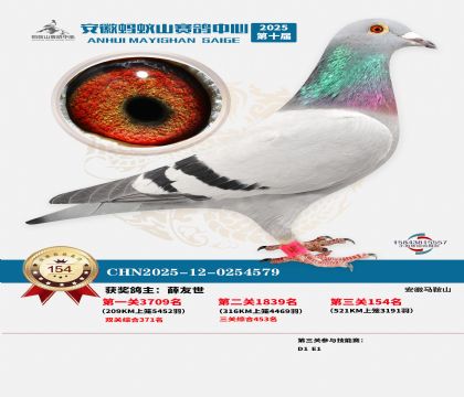 ����Λρɽ?j��ng)Qِ154��