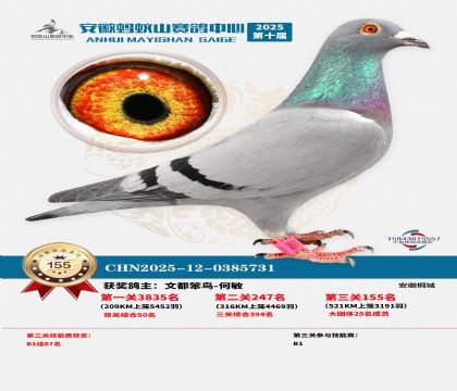 ����Λρɽ?j��ng)Qِ155��