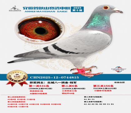 ����Λρɽ?j��ng)Qِ156��