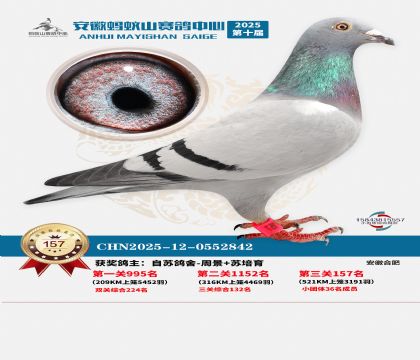 ����Λρɽ?j��ng)Qِ157��