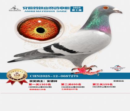 ����Λρɽ?j��ng)Qِ159��