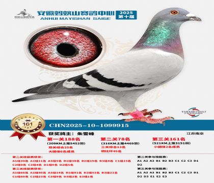 ����Λρɽ?j��ng)Qِ161��