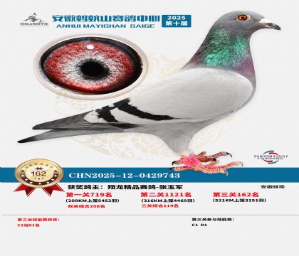 ����Λρɽ?j��ng)Qِ162��