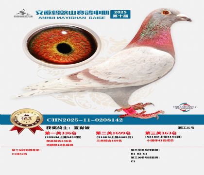 ����Λρɽ?j��ng)Qِ163��