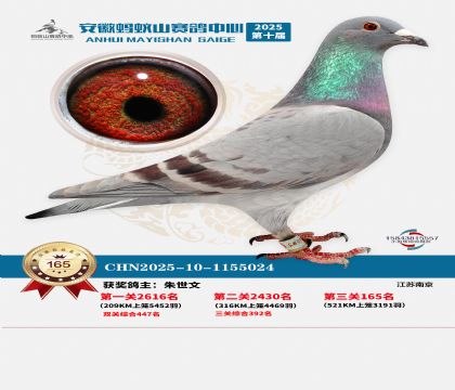 ����Λρɽ?j��ng)Qِ165��