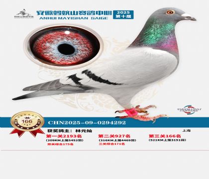 ����Λρɽ?j��ng)Qِ166��