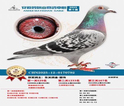 ����Λρɽ?j��ng)Qِ167��