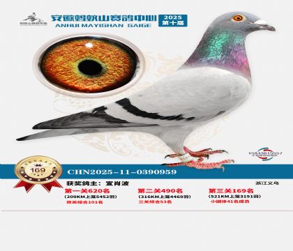 ����Λρɽ?j��ng)Qِ169��