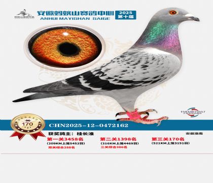 ����Λρɽ?j��ng)Qِ170��