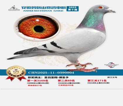 ����Λρɽ?j��ng)Qِ171��