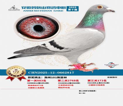 ����Λρɽ?j��ng)Qِ172��